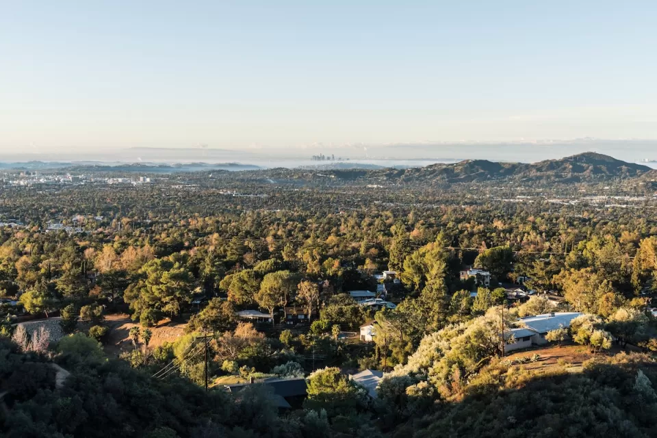 View of wooded area and homes in Altadena, California with hills and downtown Los Angeles, California in the distance.